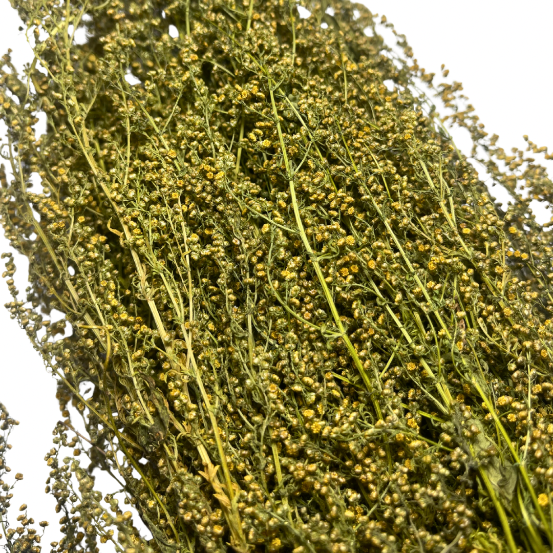 Untitled design - 15